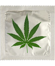 Callvin Cannabis