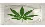 Callvin Cannabis